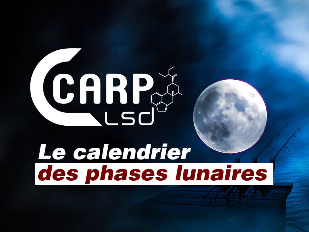 Février 2024 Calendrier Lunaire, Cycles Lunaires, Phases Lunaires